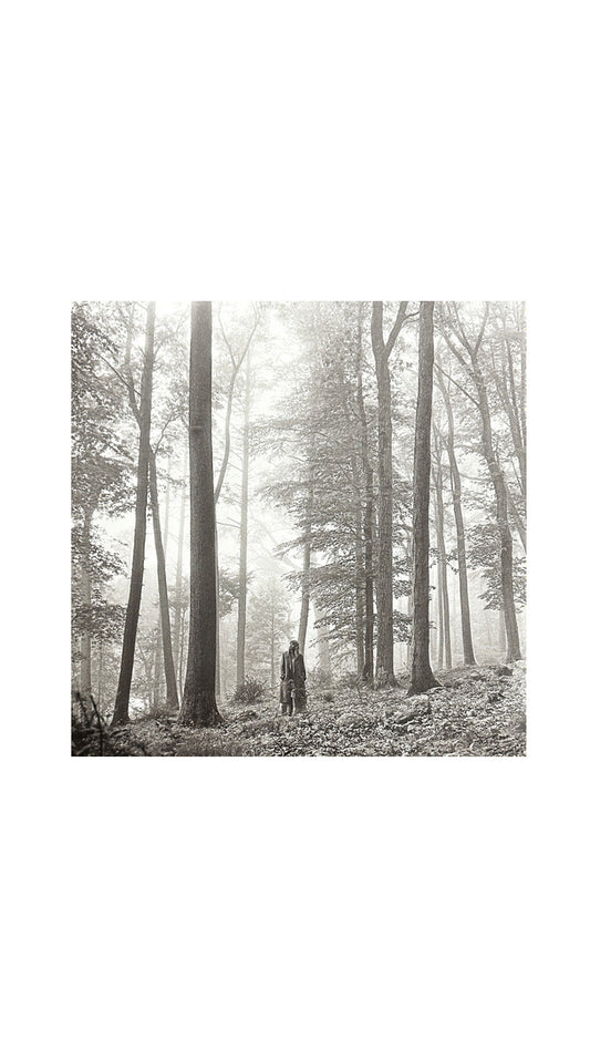Taylor Swift, Folklore, LP